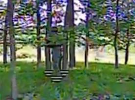 russian Forces Camouflage Fails to Deceive Ukrainian Drone Operators