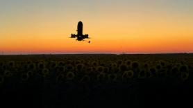 FPV Speed Revolution: Wild Hornets' Sting Anti-Air Drone Accelerates to Over 315 km/h