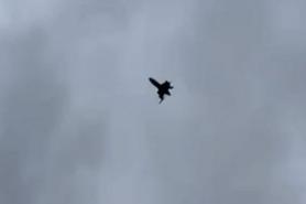 ​Ukraine Launches Production of Bullet Anti-aircraft Drone, Accelerating to 309 km/h