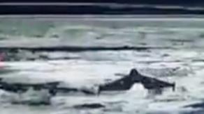 ​Ukraine Claims First Remote Interception as Litavr Downs Shahed Drone During Mass Attack (Video)