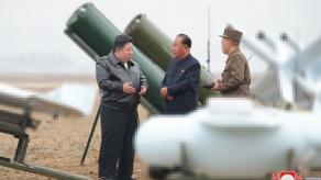 ​What Kamikaze Drones Could N. Korea Supply to russia, What Are Their Capabilities?