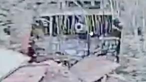 Ukraine's Omega Center Hit russian Tank and Multiple Ground Robots (Video)
