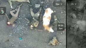 ​FPV Drone, Double Agent, and Precision Strikes: How Ukraine Hit Chechen Akhmat Unit