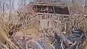 ​Ukrainian Drones Destroy russian 2S9 Nona-S, Mortars, and russian Assets Near Sumy (Video)