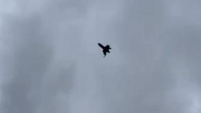 ​Ukraine Launches Production of Bullet Anti-aircraft Drone, Accelerating to 309 km/h