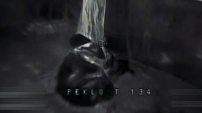 ​Ukrainian IR Camera Killer Drone vs. russian Thermal Camouflage (Video)