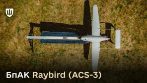 Raybird UAS: The Small 