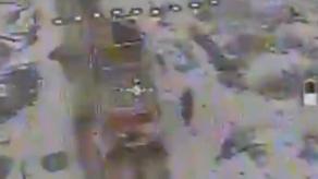 ​Footage Released February 12 Shows Coordinated UAV Strikes Against russian Artillery and Armored Systems (Video)