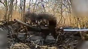 Ukraine's Vampire UAV Team Destroy Hidden russian Tank and Fortified Positions on the Kursk Axis (Video)
