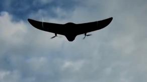 ​Ukrainian Forces Hit russia's UAV Arsenal: Zala, Orlan, Lancet, and Rare Kniaz Veshchyi Oleh Drones (Video)