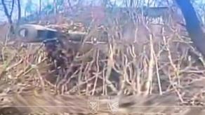 Ukrainian Paratroopers Incinerated Enemy Howitzer, Infantry near Pokrovsk (Video)