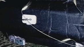 ​Ukrainian Border Guards Take Down Shahed Drone Flying at 1,500 Meters