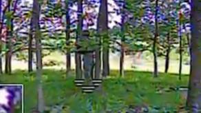 russian Forces Camouflage Fails to Deceive Ukrainian Drone Operators