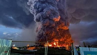 russia Calls Ukrainian Strikes on Wildberries Logistics Hubs "Terrorist" While Marketplace Continues Supplying russian Army 