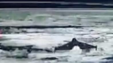 ​Ukraine Claims First Remote Interception as Litavr Downs Shahed Drone During Mass Attack (Video)