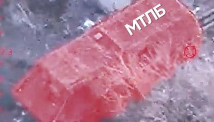 ​The Nemesis Regiment Crushes russian Artillery Near Pokrovsk (Video)