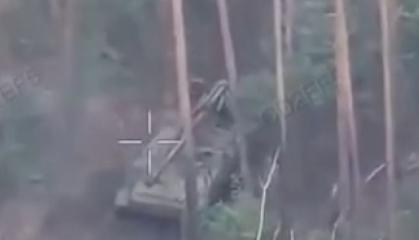 ​Ukrainian Reconnaissance Drone Tracks russian Self-Propelled Gun to Camouflaged Position (Video)