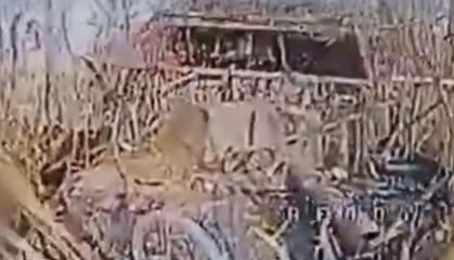 ​Ukrainian Drones Destroy russian 2S9 Nona-S, Mortars, and russian Assets Near Sumy (Video)