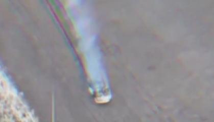 ​Ukrainian FPV Drone Destroys Rare $2 Million russian Typhoon Armored Vehicle (Video)