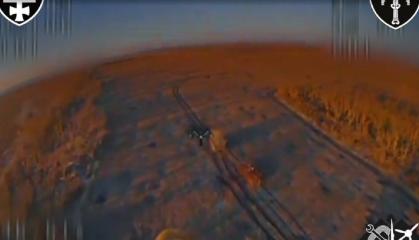 Ukrainian Drone Operators Destroy Three russian APCs with Crews in the Liman Sector (Video)