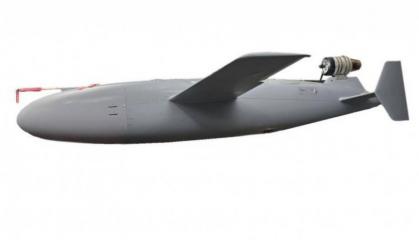 Germany to Co-Produce Ukraine's Bars Missile Drone, the Same Long-Range Weapon Used in Strikes on Moscow