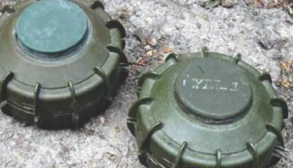 Poland Plans to Deploy Mines Along Borders with russia and belarus