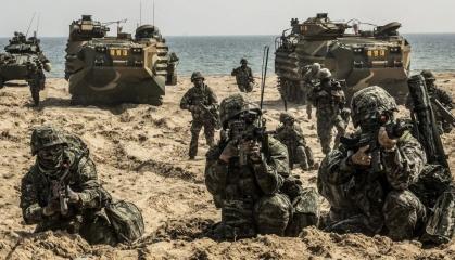 Ukraine Creates Marine Corps: the Pragmatic South Korean or the Absolute USA Approach