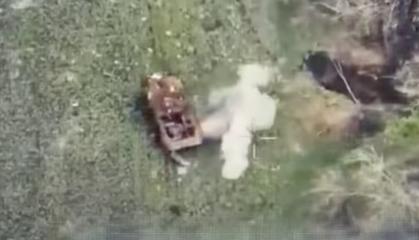 The Typhoon Unit's Drones Target russian Weak Points, Neutralizing a Wide Range of Targets near Pokrovsk (Video)