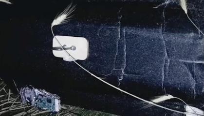 ​Ukrainian Border Guards Take Down Shahed Drone Flying at 1,500 Meters