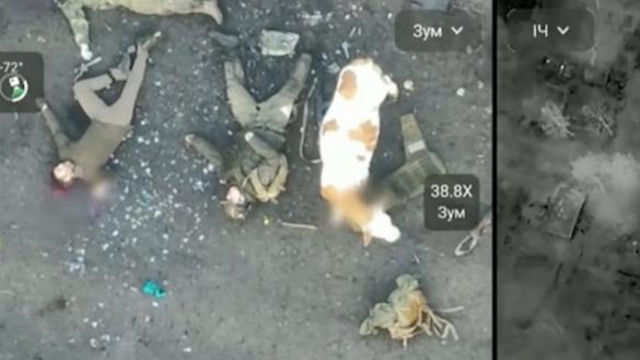 ​FPV Drone, Double Agent, and Precision Strikes: How Ukraine Hit Chechen Akhmat Unit