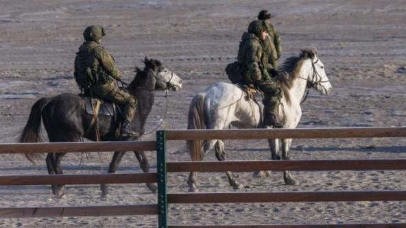 ​Where Do Donkeys and Horses Come From in russia’s Army and Does This Indicate a Shortage of Transport and Armored Vehicles