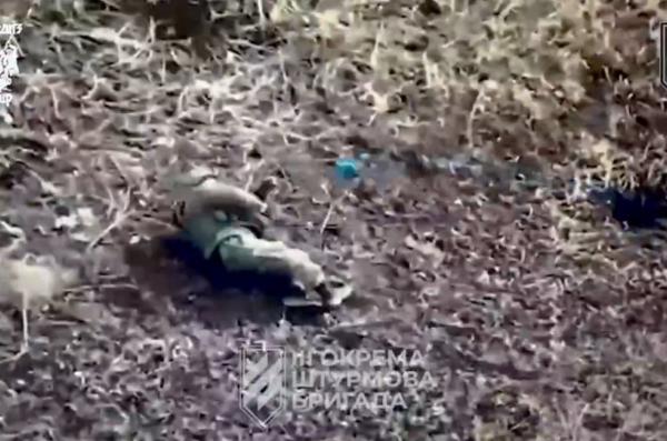 ​How russian Invaders Attempt to Counter Ukrainian Kamikaze Drones in Kharkiv Region: Rifles, Legs and Bare Hands 