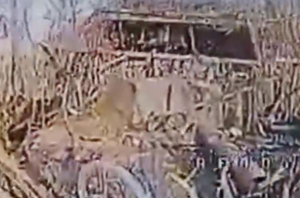 ​Ukrainian Drones Destroy russian 2S9 Nona-S, Mortars, and russian Assets Near Sumy (Video)