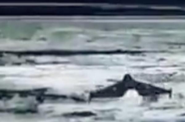 ​UK Defense Intelligence: russia Likely Shared Drone and EW Expertise with Iran Before US/Israeli Strikes