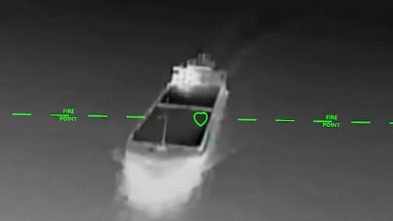 ​Ukrainian Forces Hit Five Ships Near Mariupol and Berdiansk (Video)